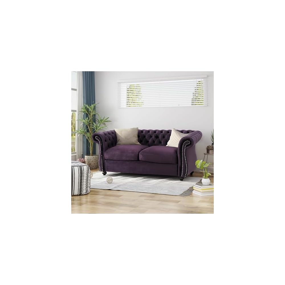 Christopher Knight Home Karen Traditional Chesterfield Loveseat Sofa, BlackBerry and Dark Brown, 61.75 x 33.75 x 27.75
